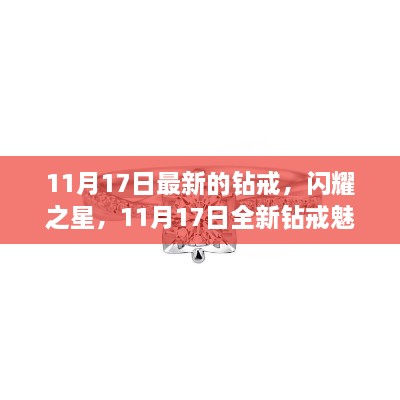 2024年11月17日 第29页