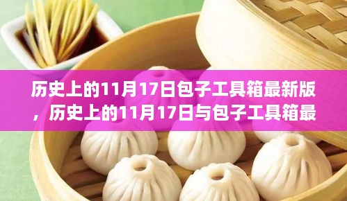 历史上的11月17日与包子工具箱最新版，深度探讨与观点阐述