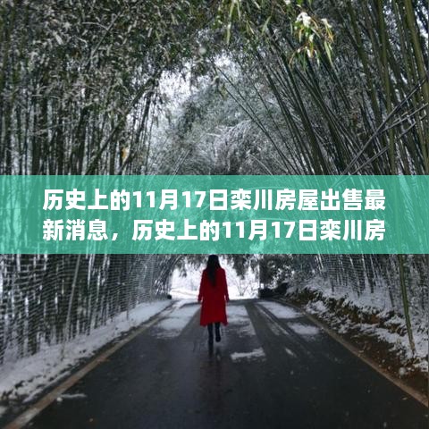 历史上的11月17日栾川房屋市场深度洞察，最新消息与出售分析