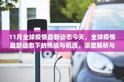 全球疫情最新动态下的挑战与机遇深度解析及观点阐述，11月最新动态观察