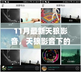 天狼影音下的温馨日常，友情、陪伴与家的温暖十一月最新版