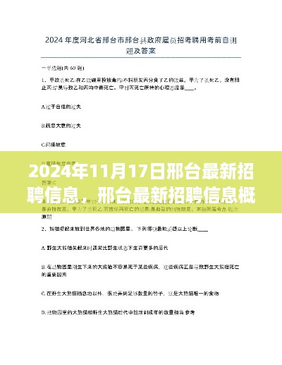 2024年11月17日邢台最新招聘信息概览