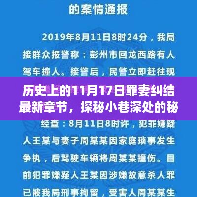 罪妻纠结最新章节揭秘，小巷深处的秘密花园与历史背后的故事