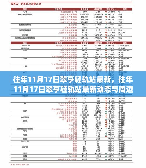 翠亨轻轨站最新动态与周边发展解析，历年11月17日更新资讯速递