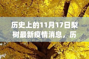 小红书揭秘，历史上的11月17日与梨树最新疫情消息全解析