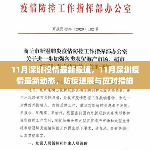 深圳疫情最新动态，防疫进展、应对措施及11月最新报道