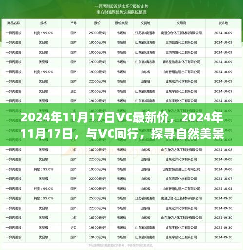 VC最新价下的心灵静谧之旅，探寻自然美景的探寻之旅（2024年11月17日）