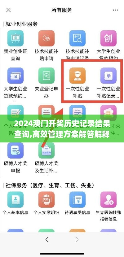 2024澳门开奖历史记录结果查询,高效管理方案解答解释_RAE1.68.63通玄境