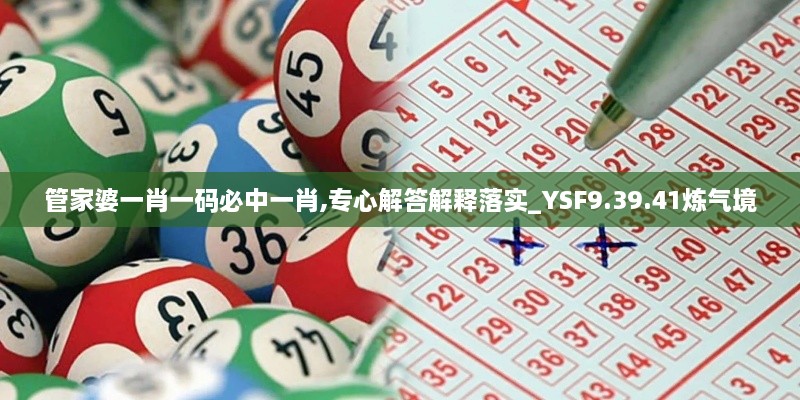 管家婆一肖一码必中一肖,专心解答解释落实_YSF9.39.41炼气境