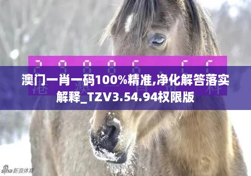 澳门一肖一码100%精准,净化解答落实解释_TZV3.54.94权限版