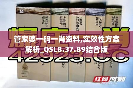 管家婆一码一肖资料,实效性方案解析_QSL8.37.89结合版