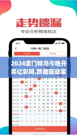 2024澳门特马今晚开奖亿彩网,数据驱动策略设计_JDM4.36.87装饰版