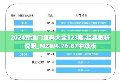 2024新澳门资料大全123期,经典解析说明_MZW4.76.87中级版