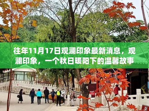 观澜印象秋日暖阳下的温馨故事最新消息发布