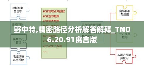 野中特,精密路径分析解答解释_TNO6.20.91寓言版