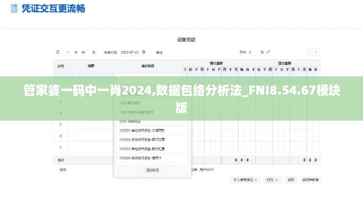 管家婆一码中一肖2024,数据包络分析法_FNI8.54.67模块版