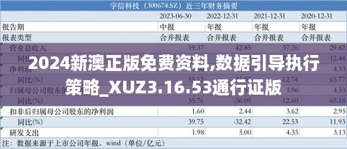 2024新澳正版免费资料,数据引导执行策略_XUZ3.16.53通行证版