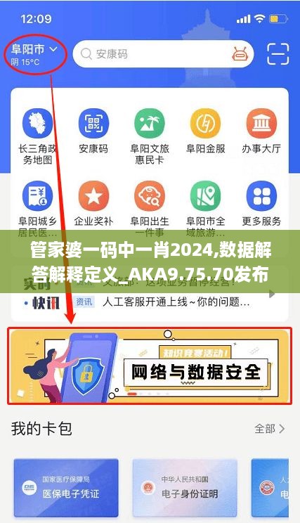 管家婆一码中一肖2024,数据解答解释定义_AKA9.75.70发布版