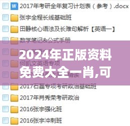 2024年正版资料免费大全一肖,可靠性解析计划_MBI6.61.38标准版