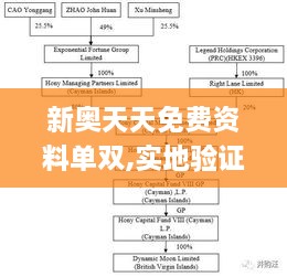 新奥天天免费资料单双,实地验证分析_TPS4.33.34养生版