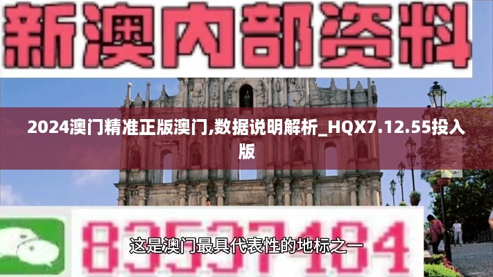 2024澳门精准正版澳门,数据说明解析_HQX7.12.55投入版