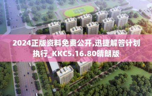 2024正版资料免费公开,迅捷解答计划执行_KKC5.16.80晴朗版