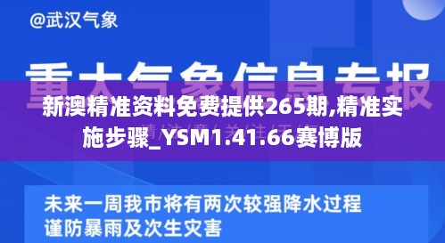 新澳精准资料免费提供265期,精准实施步骤_YSM1.41.66赛博版