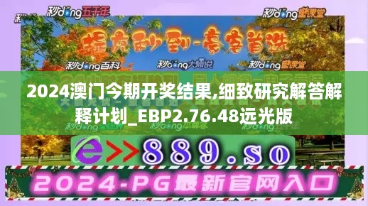 2024澳门今期开奖结果,细致研究解答解释计划_EBP2.76.48远光版