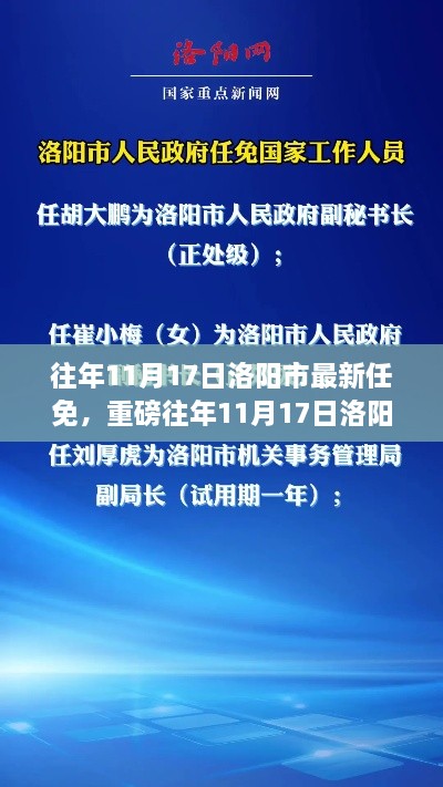 重磅揭秘，往年11月17日洛阳市人事任免揭晓，新篇章开启！