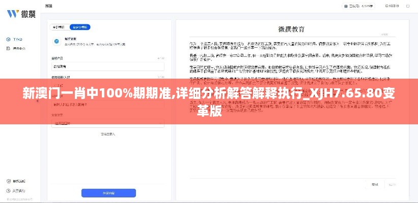 新澳门一肖中100%期期准,详细分析解答解释执行_XJH7.65.80变革版