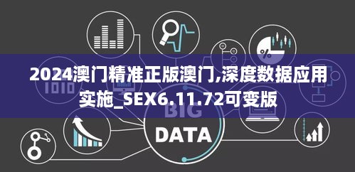 2024澳门精准正版澳门,深度数据应用实施_SEX6.11.72可变版