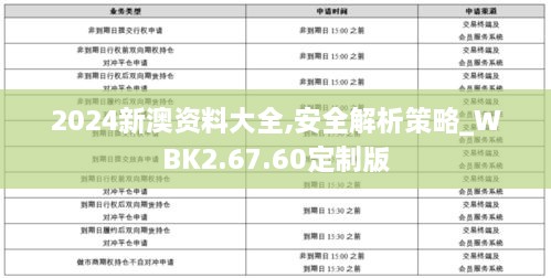 2024新澳资料大全,安全解析策略_WBK2.67.60定制版