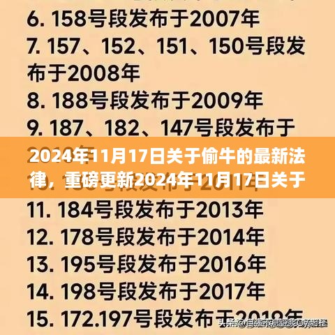 2024年关于偷牛的法律新规详解，你需要知道的一切