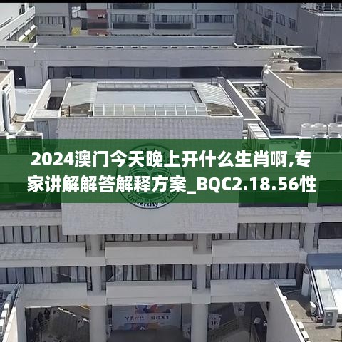 2024澳门今天晚上开什么生肖啊,专家讲解解答解释方案_BQC2.18.56性能版