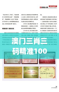 澳门三肖三码精准100%管家婆,传承解答解释落实_YRS4.78.45白银版