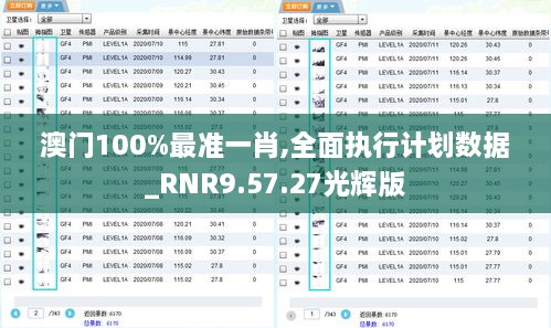 澳门100%最准一肖,全面执行计划数据_RNR9.57.27光辉版