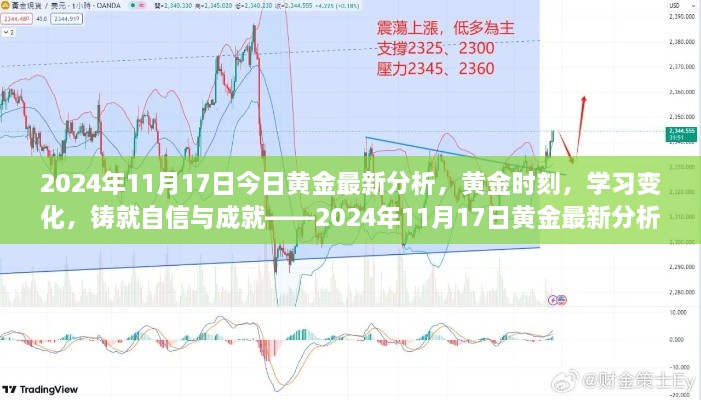 2024年11月17日黄金最新分析，洞悉黄金时刻，学习变化铸就自信与成就