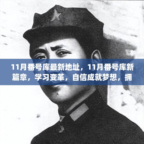 11月番号库最新动态，新篇章开启，学习变革助力梦想实现