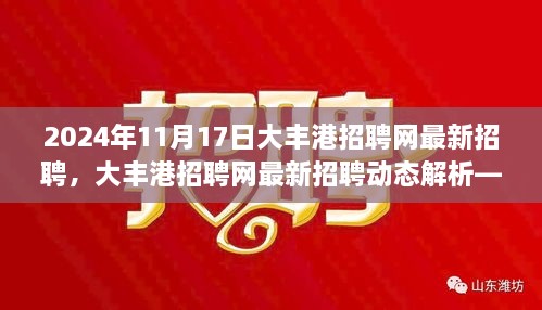 大丰港招聘网最新招聘动态解析，聚焦热点岗位，2024年11月17日