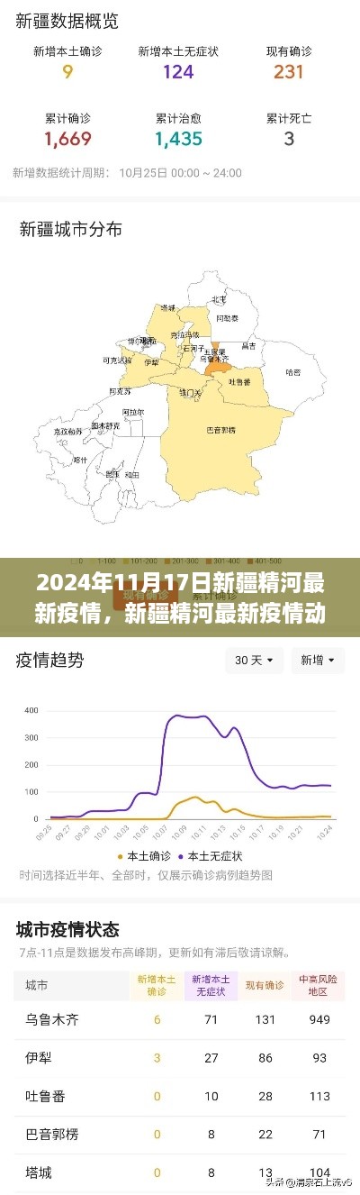 新疆精河最新疫情动态深度解析与评估（2024年11月17日版）