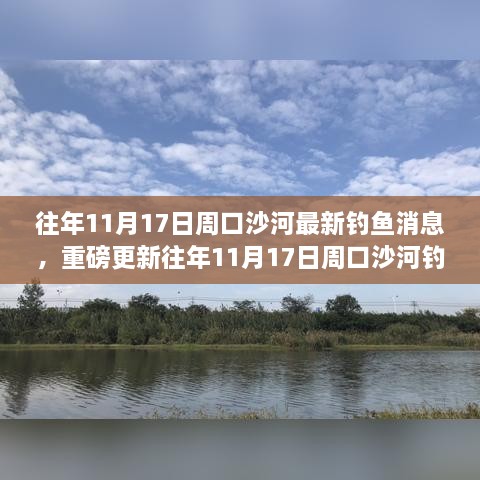 往年11月17日周口沙河钓鱼盛宴，最新钓鱼消息全解析与钓鱼盛宴回顾