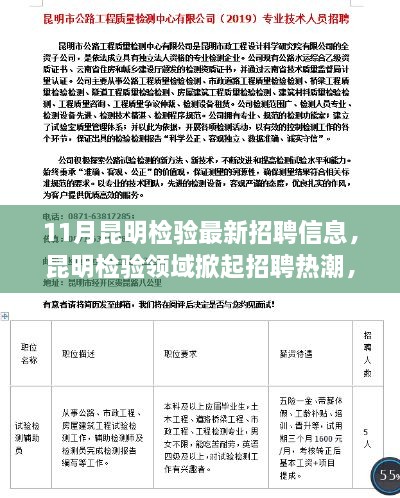 昆明检验领域掀起招聘热潮，最新招聘信息深度解析与解析服务开启