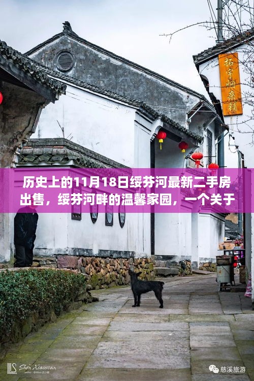 绥芬河畔温馨家园，二手房故事与友情日常，历史最新房源出售揭秘