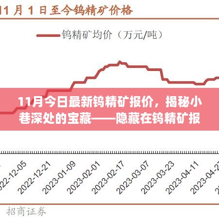 揭秘独特小店，最新钨精矿报价与小巷深处的宝藏探索