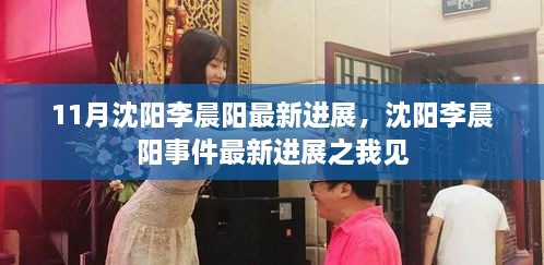 沈阳李晨阳事件最新进展解析与观察