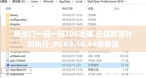 新澳门一码一码100准确,迅捷解答计划执行_POX9.10.99安静版