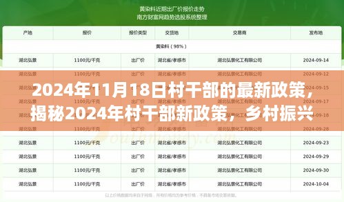 揭秘2024年村干部新政策，乡村振兴蓝图与村民未来展望（最新政策解读）