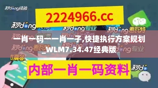 一肖一码一一肖一子,快捷执行方案规划_WLM7.34.47经典版