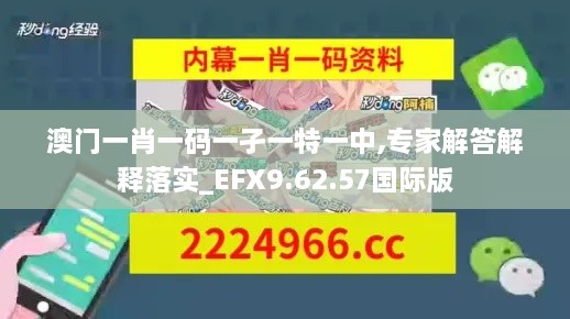 澳门一肖一码一孑一特一中,专家解答解释落实_EFX9.62.57国际版