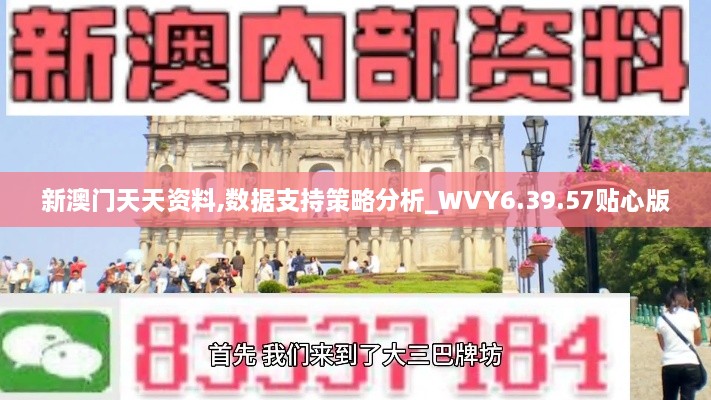 新澳门天天资料,数据支持策略分析_WVY6.39.57贴心版